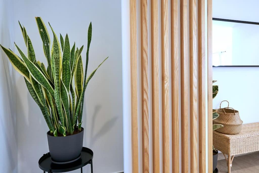 Apartmán Blue Horizon Lagos Exteriér fotografie